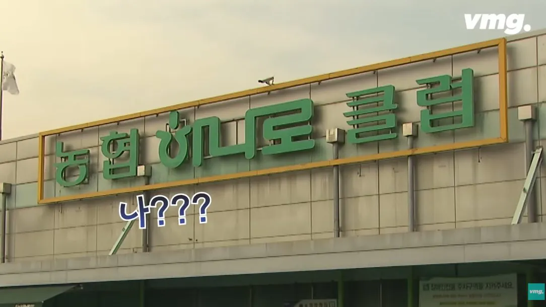 적자 매장 57%, 4년째 적자중인 위기의 하나로 마트 (6)