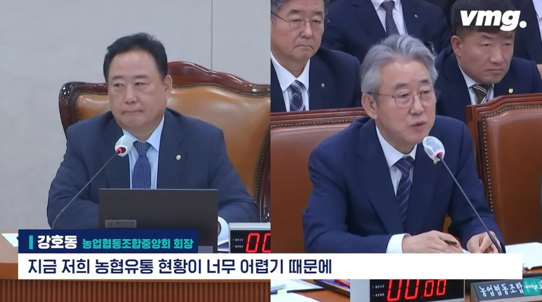 적자 매장 57%, 4년째 적자중인 위기의 하나로 마트 (24)