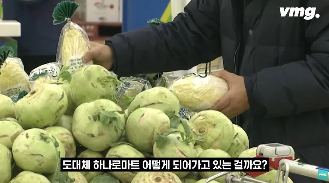 적자 매장 57%, 4년째 적자중인 위기의 하나로 마트 (10)