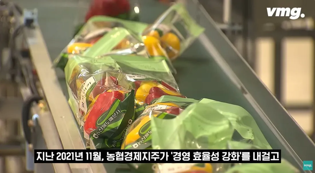 적자 매장 57%, 4년째 적자중인 위기의 하나로 마트 (33)