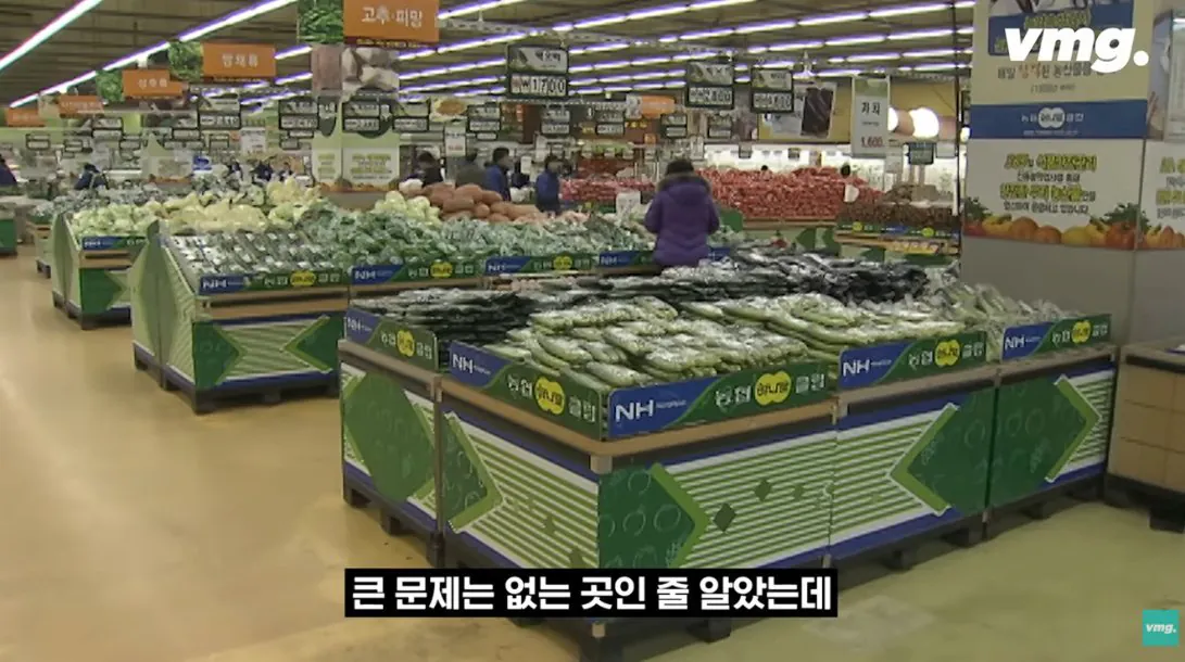 적자 매장 57%, 4년째 적자중인 위기의 하나로 마트 (9)