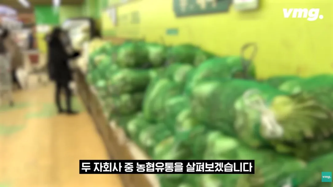 적자 매장 57%, 4년째 적자중인 위기의 하나로 마트 (30)