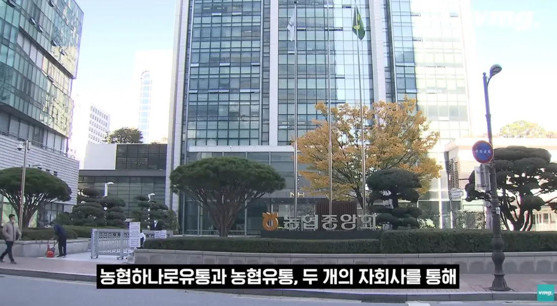 적자 매장 57%, 4년째 적자중인 위기의 하나로 마트 (13)