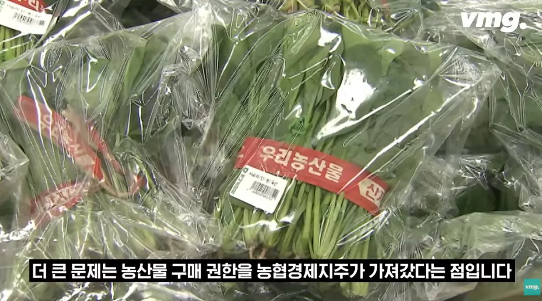 적자 매장 57%, 4년째 적자중인 위기의 하나로 마트 (42)