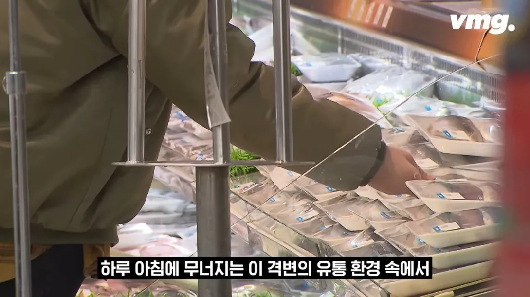 적자 매장 57%, 4년째 적자중인 위기의 하나로 마트 (86)