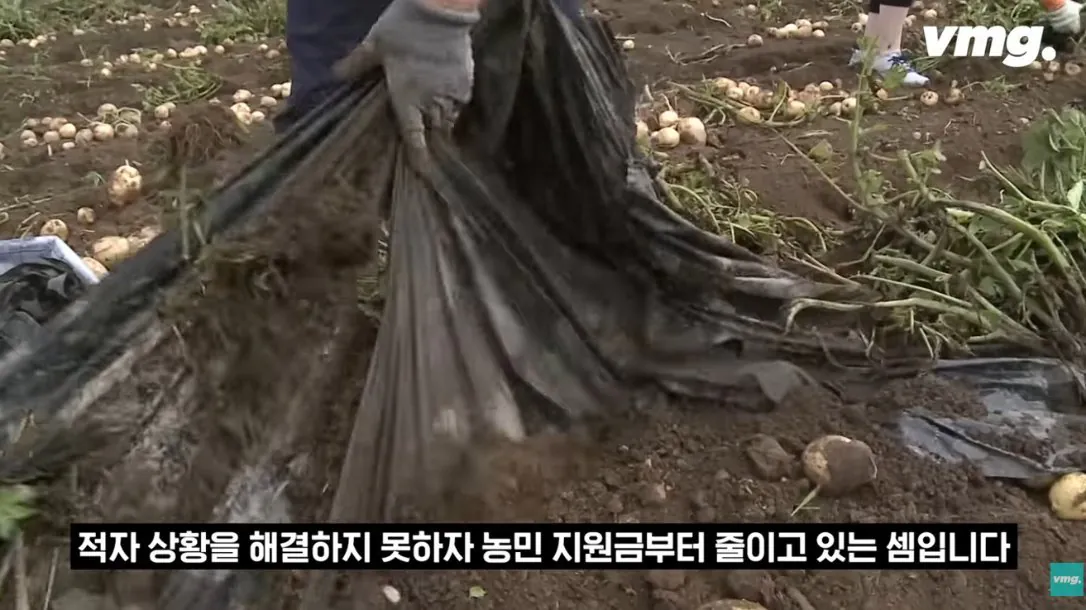 적자 매장 57%, 4년째 적자중인 위기의 하나로 마트 (76)