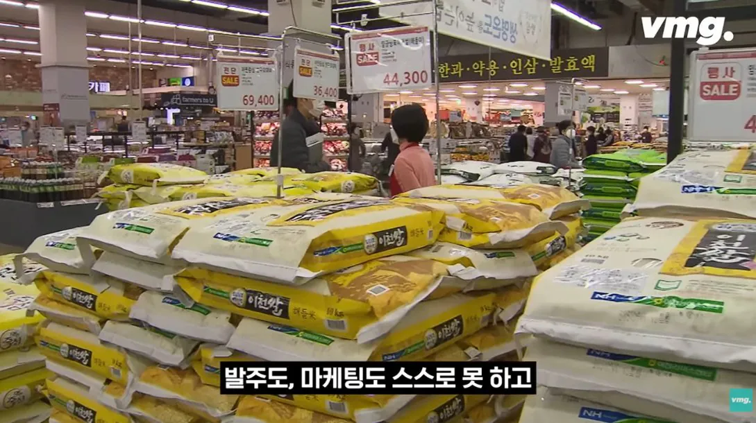적자 매장 57%, 4년째 적자중인 위기의 하나로 마트 (51)