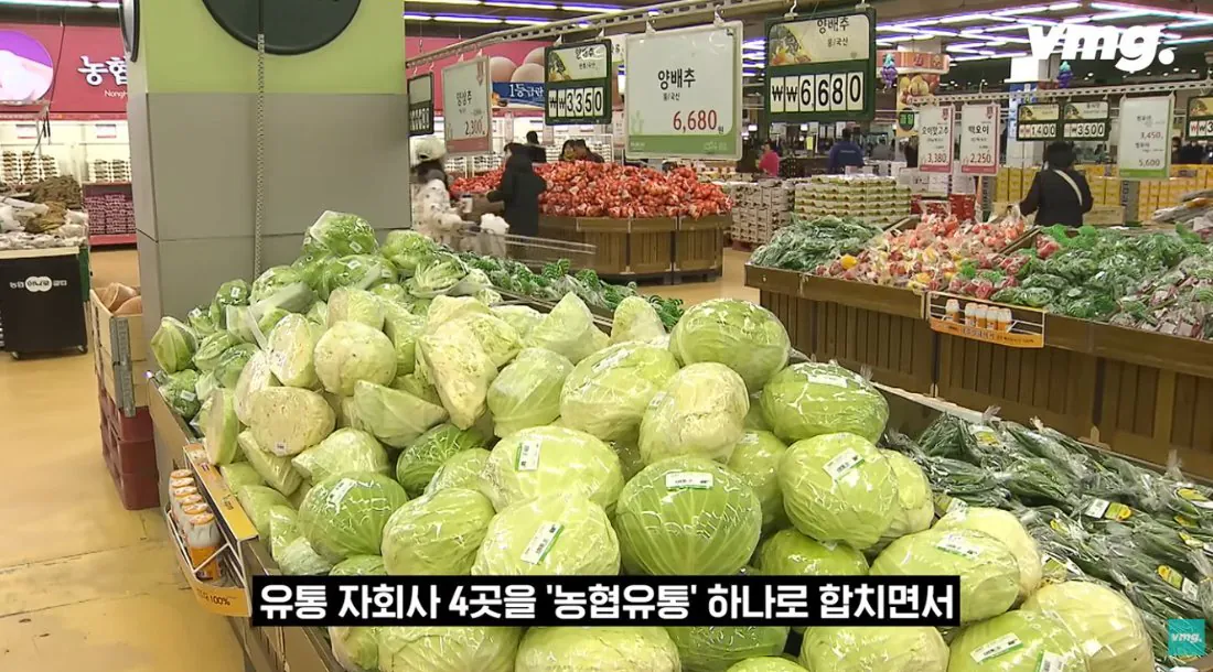 적자 매장 57%, 4년째 적자중인 위기의 하나로 마트 (34)