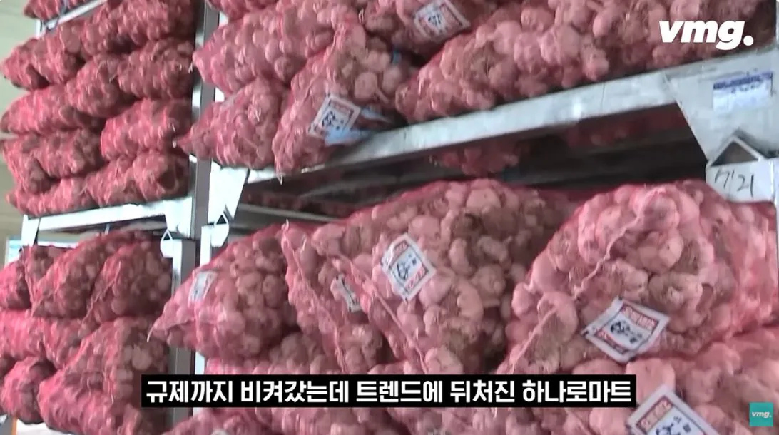 적자 매장 57%, 4년째 적자중인 위기의 하나로 마트 (81)