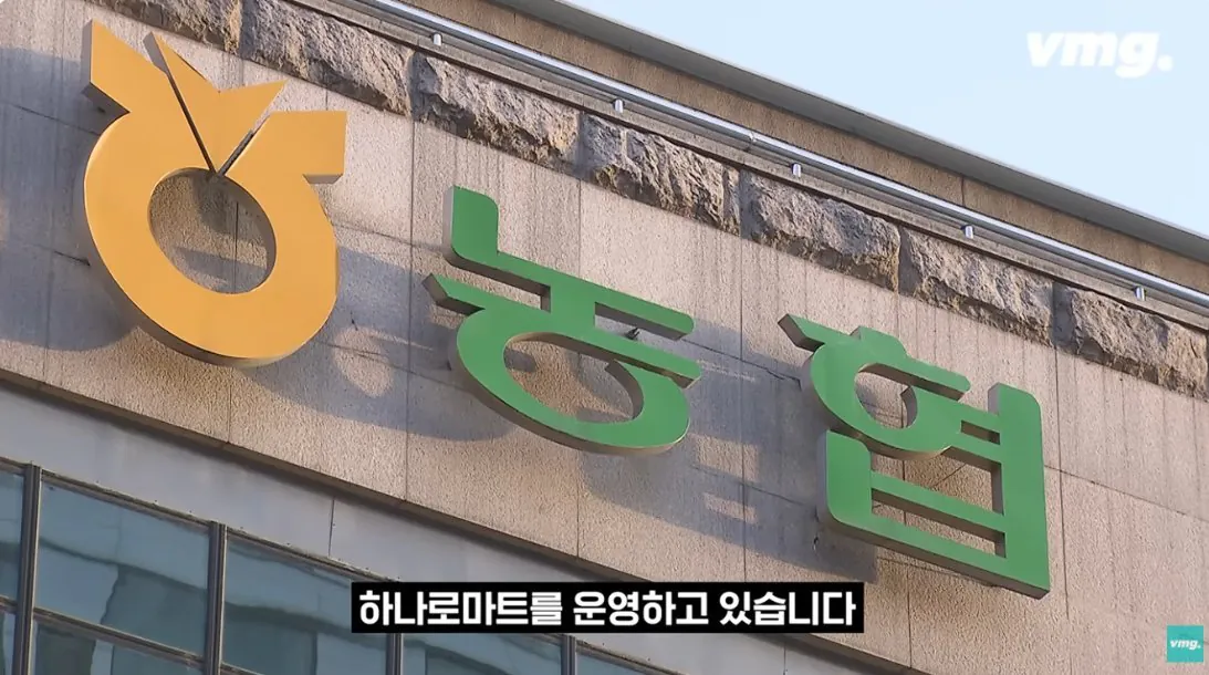 적자 매장 57%, 4년째 적자중인 위기의 하나로 마트 (14)