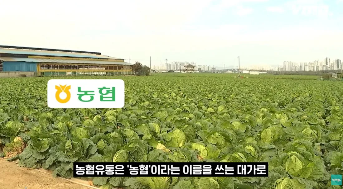 적자 매장 57%, 4년째 적자중인 위기의 하나로 마트 (71)