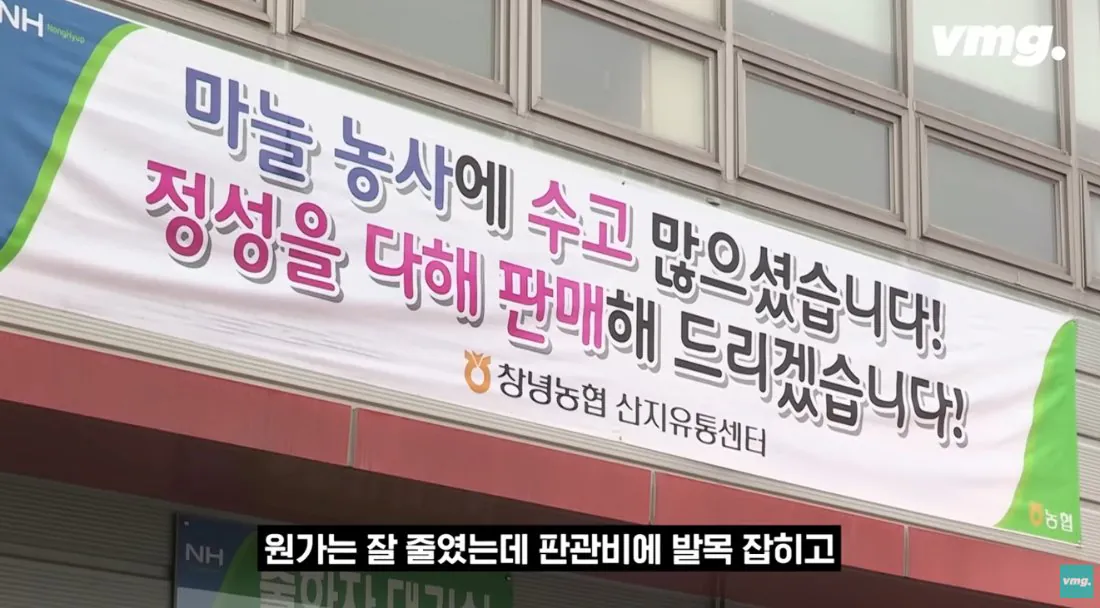 적자 매장 57%, 4년째 적자중인 위기의 하나로 마트 (80)