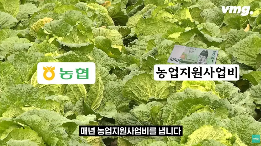 적자 매장 57%, 4년째 적자중인 위기의 하나로 마트 (72)