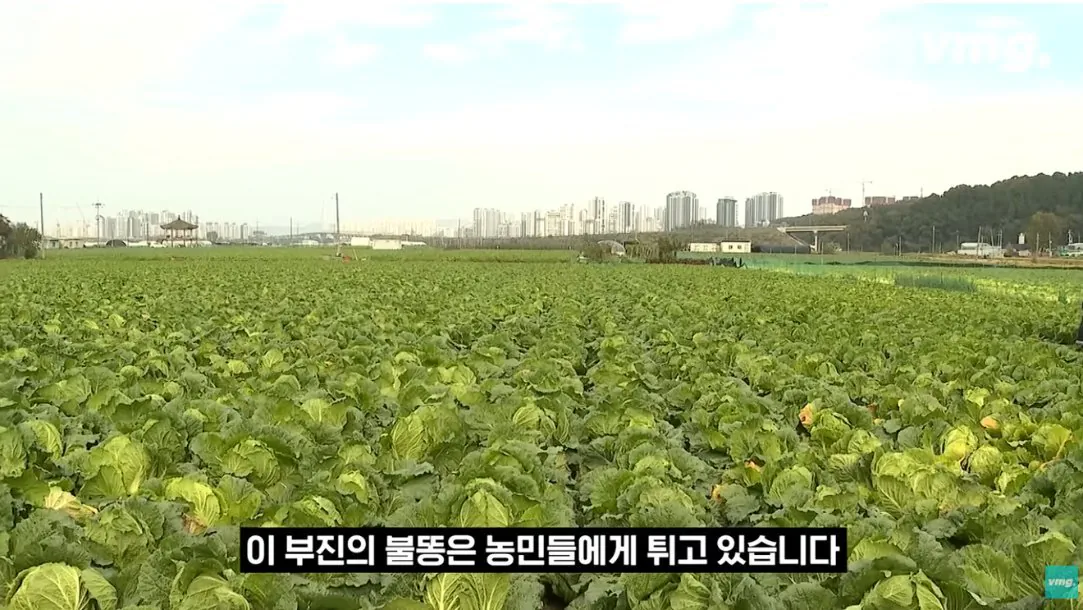 적자 매장 57%, 4년째 적자중인 위기의 하나로 마트 (70)