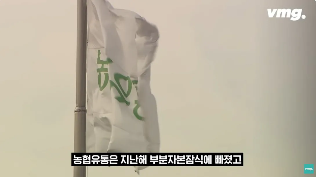 적자 매장 57%, 4년째 적자중인 위기의 하나로 마트 (20)