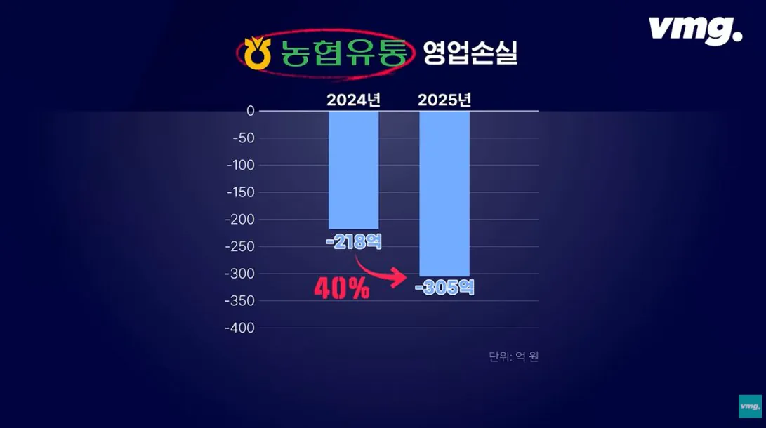 적자 매장 57%, 4년째 적자중인 위기의 하나로 마트 (16)
