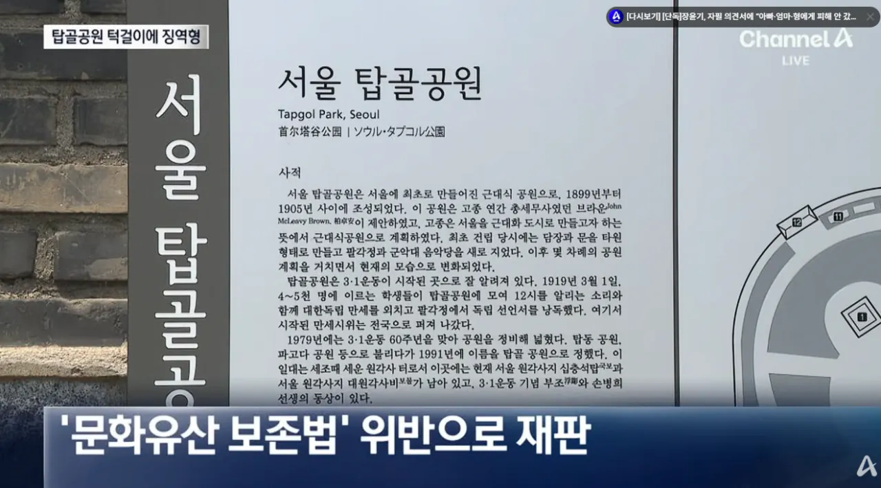 술 취해서 탑골공원 기와 깨먹은 남자 (5)