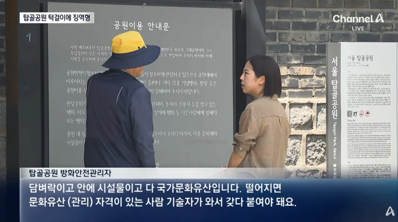 술 취해서 탑골공원 기와 깨먹은 남자 (7)