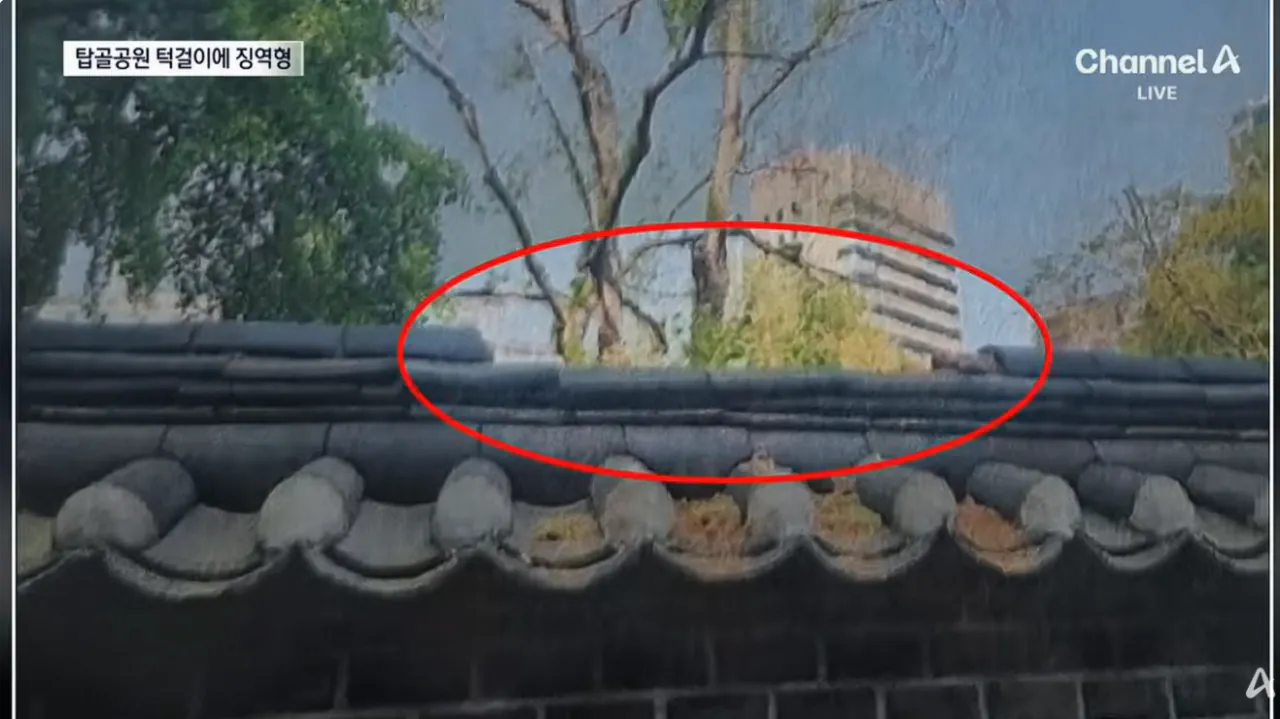 술 취해서 탑골공원 기와 깨먹은 남자 (4)