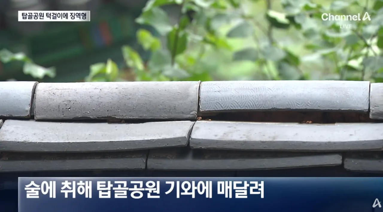 술 취해서 탑골공원 기와 깨먹은 남자 (2)