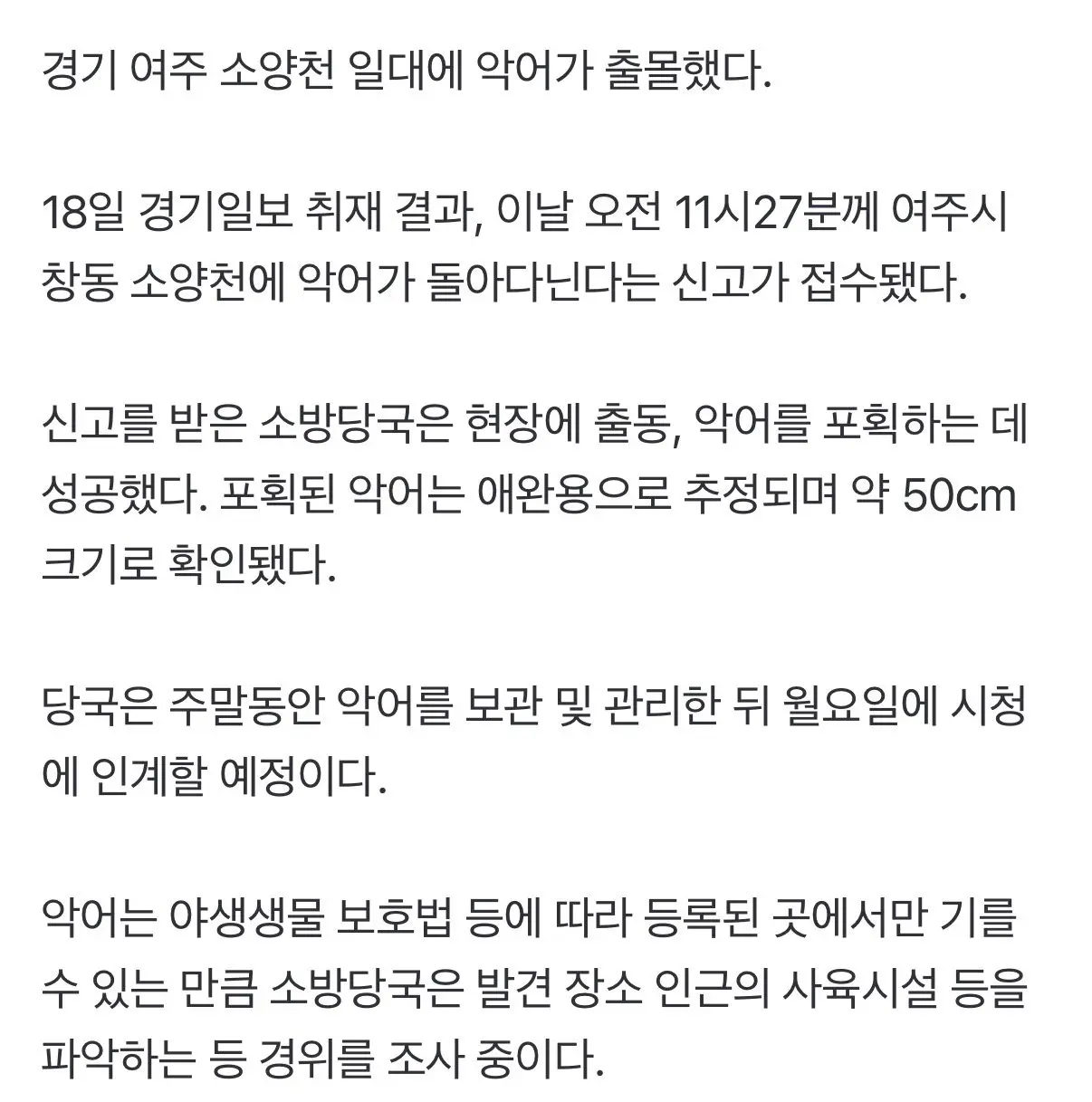 경기 여주 하천에 악어 출몰 (4)