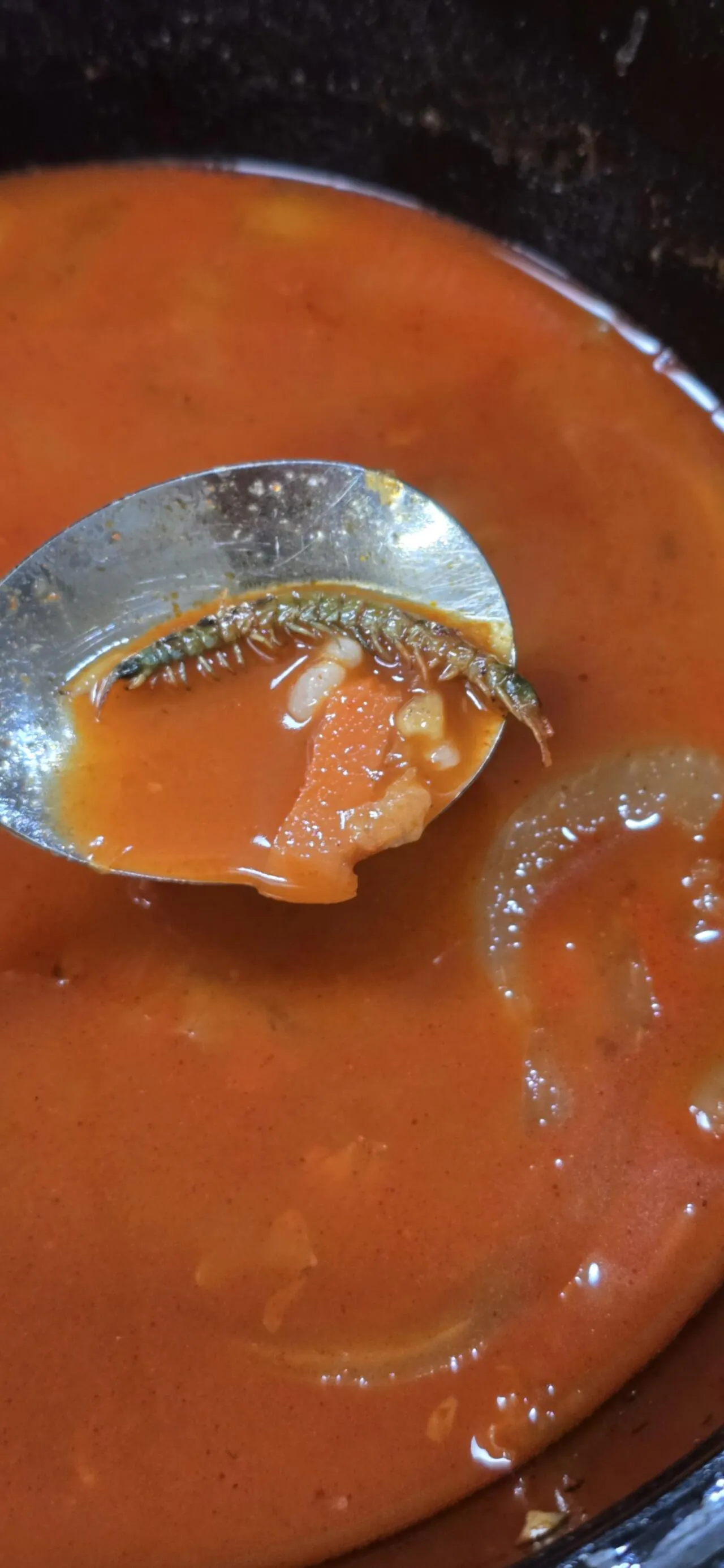 (극혐) 실시간 짬뽕먹는데 지네 나왔다 (2)