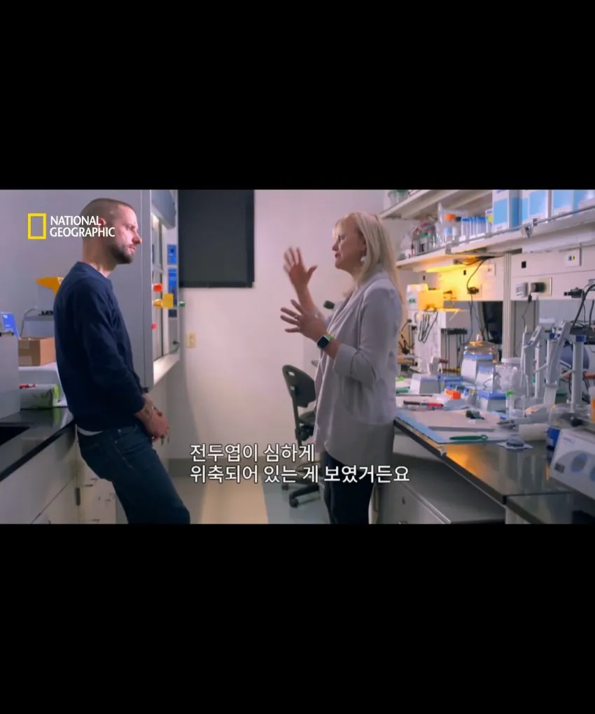 축구 헤딩의 위험성 (4)