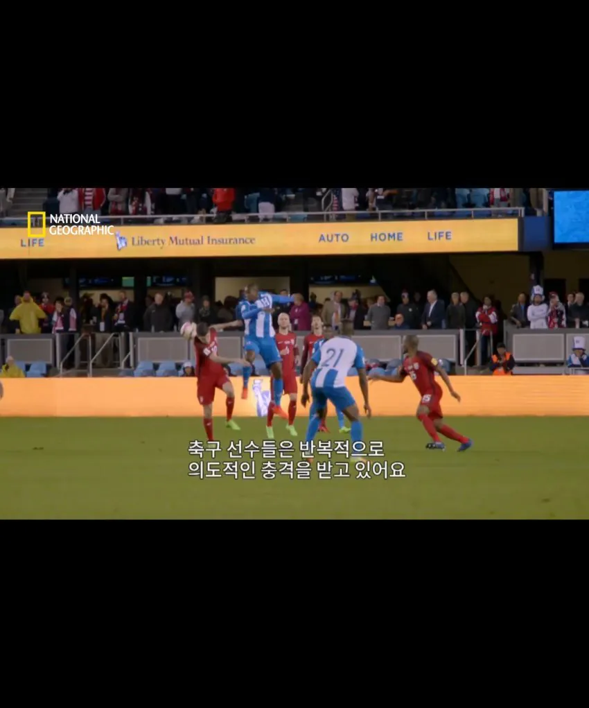 축구 헤딩의 위험성 (10)