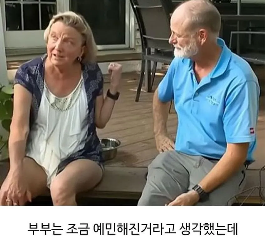 애견미용 후 예민해진 댕댕이 (4)