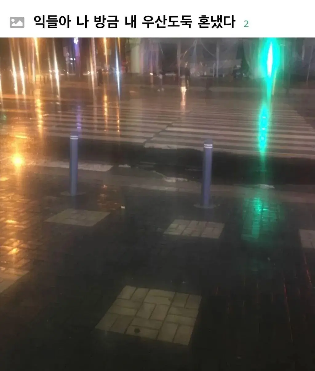 우산꽂이에 우산 꽂기 꺼려지는 이유 (4)