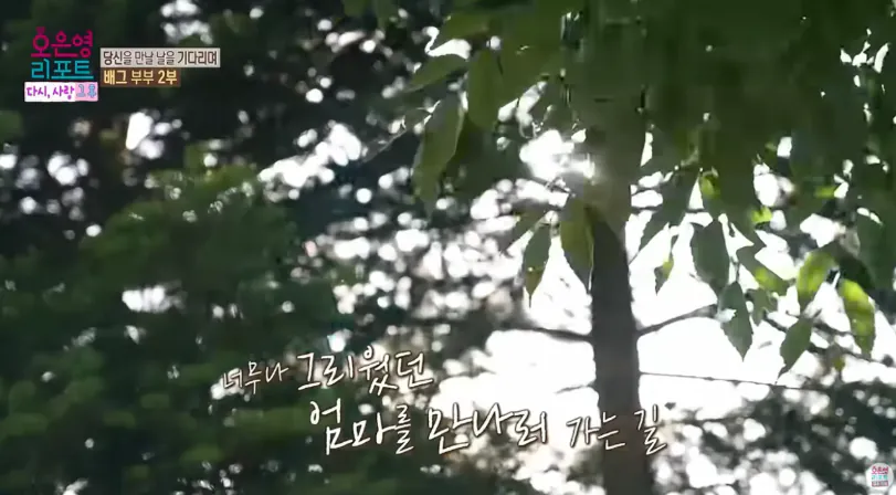 배그부부 남편과 아이들 근황 (28)