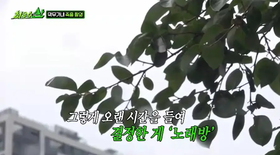 방송에서 즉흥촬영 했다가 대국민 사과한 개그맨들 (8)