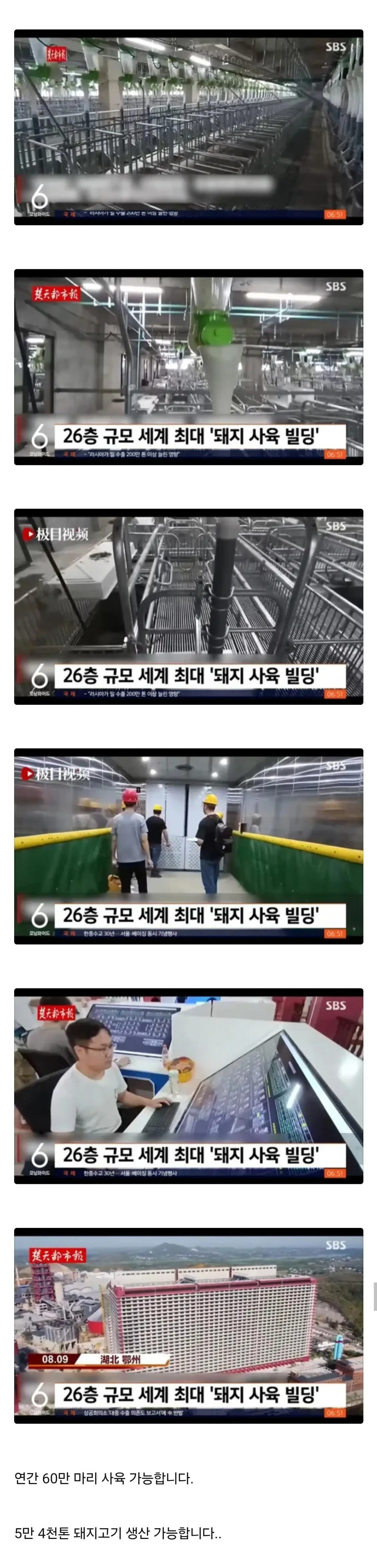 중국의 초 거대 돼지 생산 빌딩 (5)