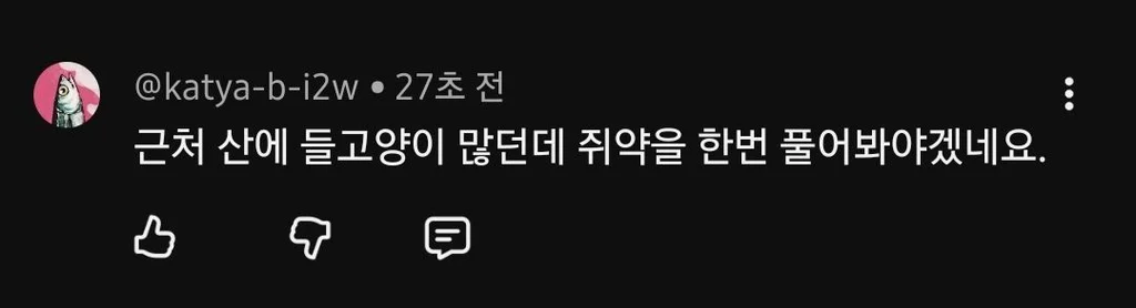 유튜브 새덕후 영상에 달린 댓글들 (4)