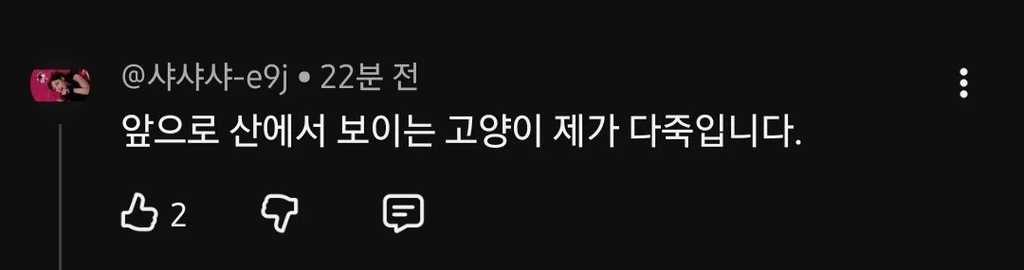 유튜브 새덕후 영상에 달린 댓글들 (8)