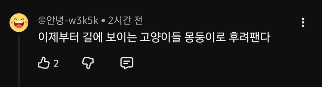유튜브 새덕후 영상에 달린 댓글들 (10)