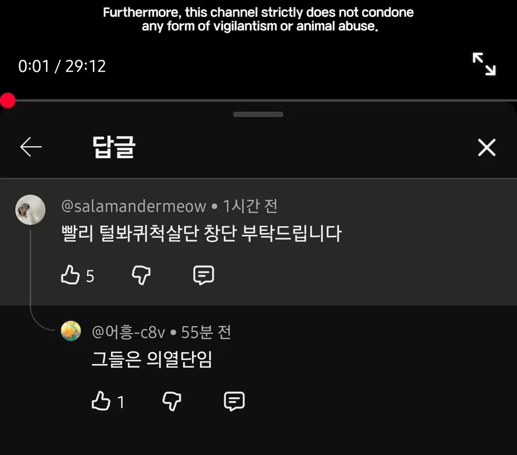 유튜브 새덕후 영상에 달린 댓글들 (6)