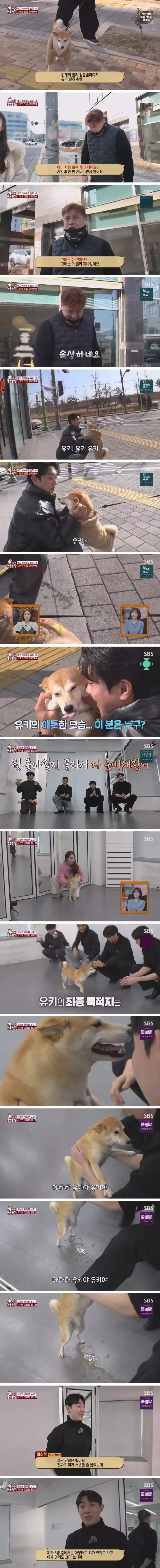 잘생긴 남자만 보면 지리는 강아지 (2)