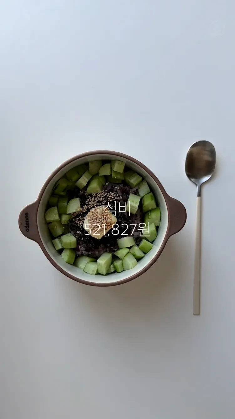8년 차 은행원 한 달 생활비 (4)