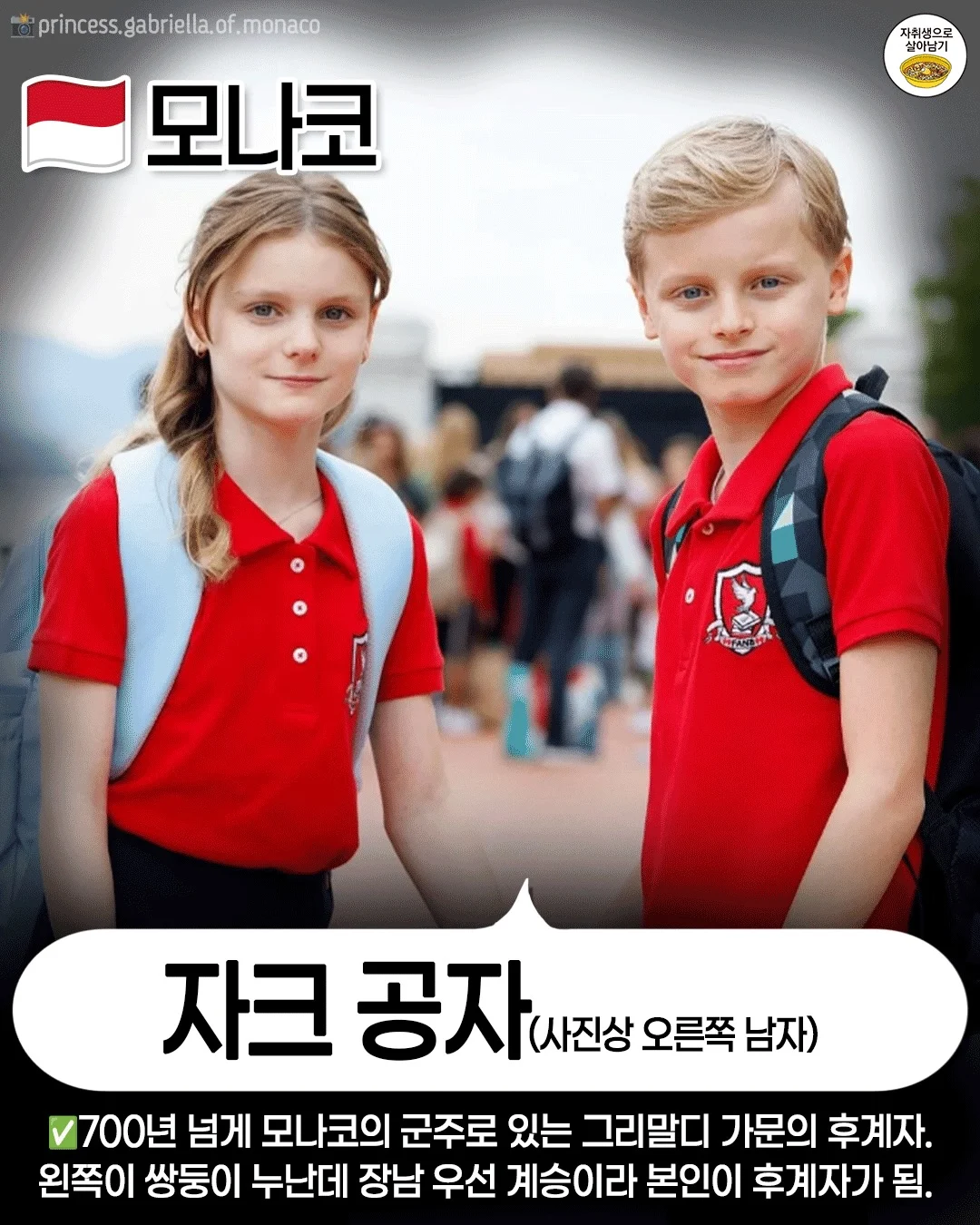 현재 유럽의 왕위 계승자들 (10)