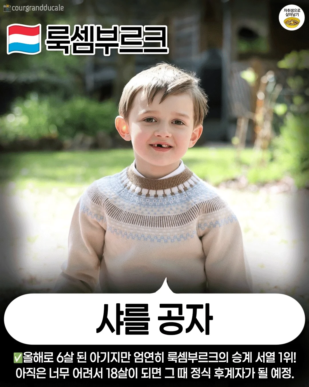 현재 유럽의 왕위 계승자들 (11)