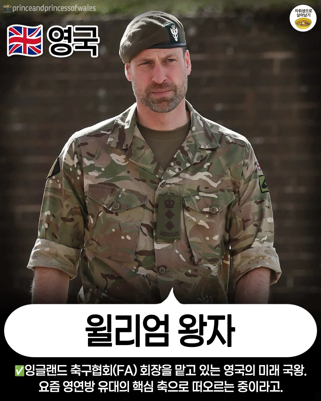 현재 유럽의 왕위 계승자들 (2)
