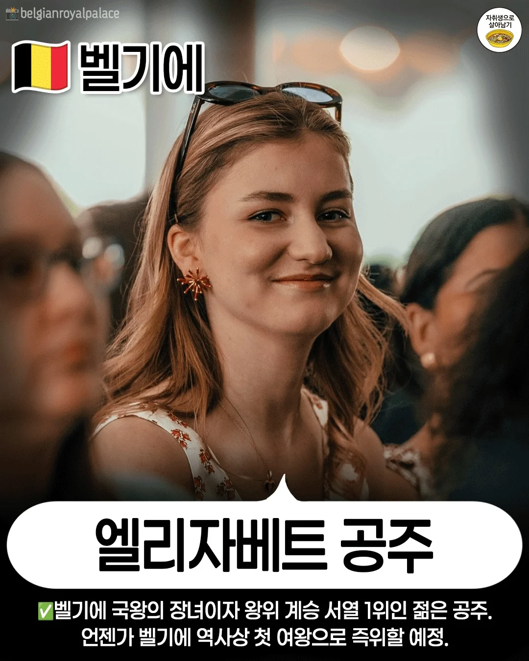 현재 유럽의 왕위 계승자들 (7)