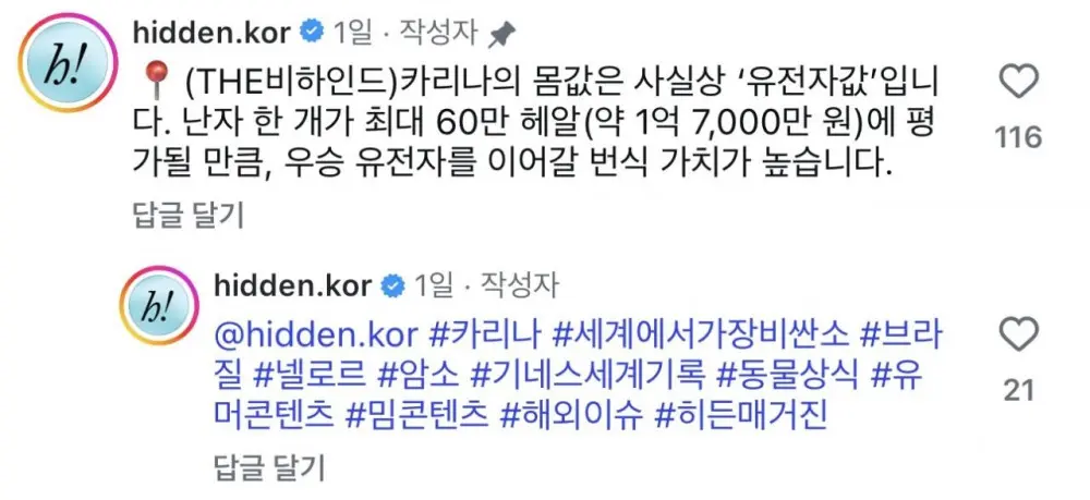 세계에서 가장 비싼 암소는 카리나 (feat. 윈터) (3)