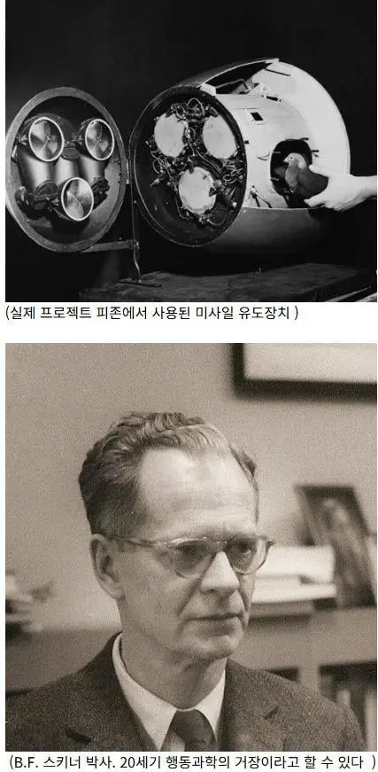 비둘기 유도 폭탄