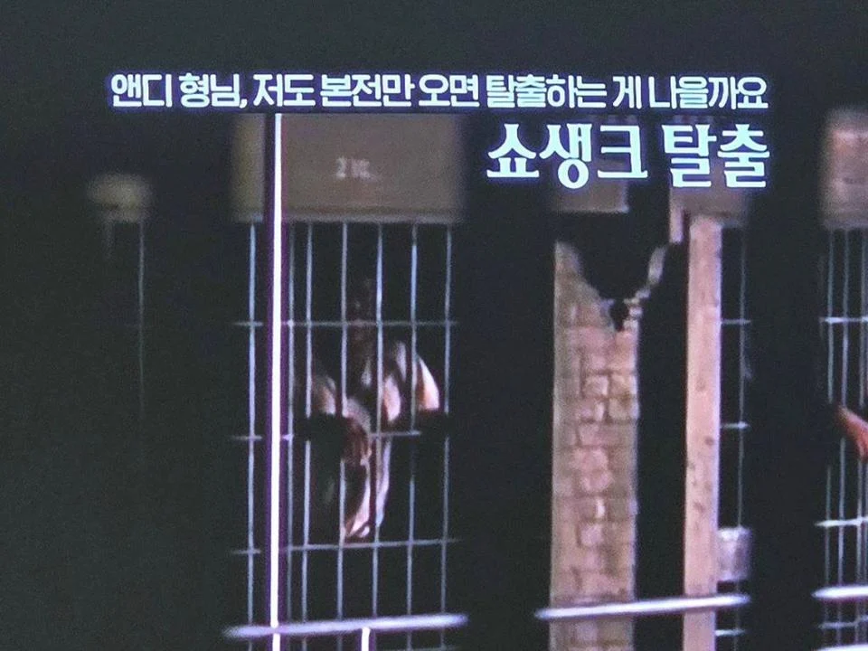 오지게 물린듯한 OCN 근황 (2)