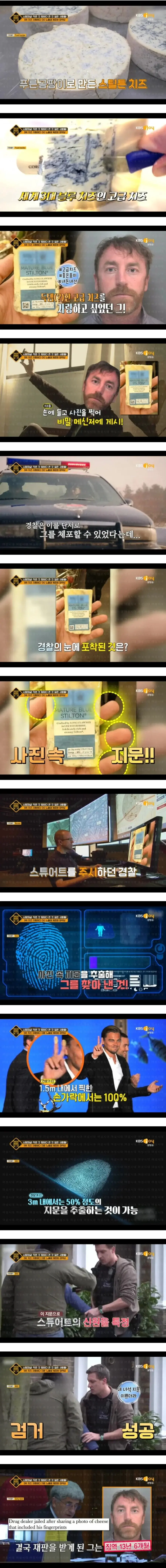 치즈 사진 올렸다가 체포된 남성 (2)