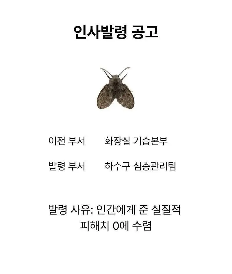 인사과에서 전파합니다 (2)
