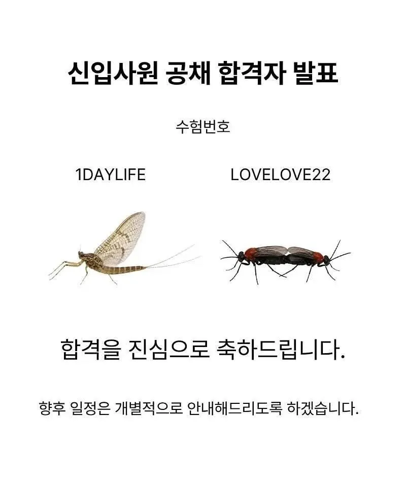 인사과에서 전파합니다 (3)