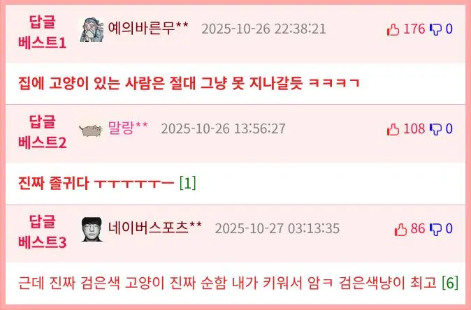 길거리 패션모델로 일하는 냥이